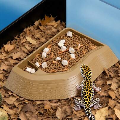 1pc Turtle Bath Tub With Ramp, 2-Layer Detachable & Easy To Clean, Food & Water Bowl With Divider, Suitable For Tortoises And Semi-Aquatic Turtles, All Season