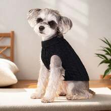 1 قطعة كنزة صوفية قطيفة مصنوعة من الجاكار للحيوانات الأليفة، بلون أحادي دافئ مناسب للخريف/الشتاء، للقطط والكلاب الصغيرة والتيدي والبودل - الأزرق - مشاهدة 18