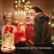 zxr Cúpula de Cristal con Rosa encantada para Siempre diseño de  Rosa Flower con Luces LED Regalos Románticos para Navidad Novia San Valentín Mujeres Día de La Madre Rojo-002125 - Transmisión002 - Ver 5
