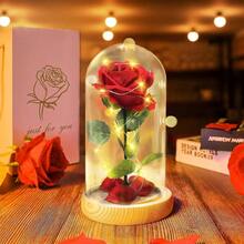zxr Cúpula de Cristal con Rosa encantada para Siempre diseño de  Rosa Flower con Luces LED Regalos Románticos para Navidad Novia San Valentín Mujeres Día de La Madre Rojo-002125 - Transmisión002 - Ver 1