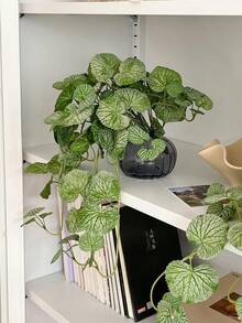 1件仿真垂吊藤蔓，逼真秋海棠叶，植绒绿植，模拟爬藤，绿叶繁茂，适用于家居卧室、客厅、厨房、办公室、墙面、阳台、书架装饰、橱窗展示。 - 彩色 - 查看 9