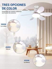 Ceiling Fans - 2 Pieces - View 4
