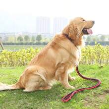 1 pieza Correa para perro tejida gruesa, adecuada para perros medianos y grandes - Diseño reforzado, sistema negro duradero sin herrajes, de larga duración, ideal para Golden Retrievers, Pastores Alemanes, Labradores y talla grande - Perfecto para entrenamiento y paseos - Multicolor - Ver 7