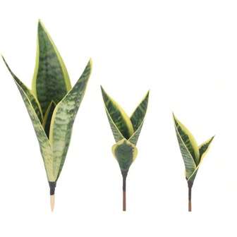 Artificial Succulent Tiger Orchid Indoor And Outdoor Aloe Vera Tropical Fake Leaves Room Desktop Party Christmas Decoration