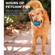 Outward Hound Tennis Ballz Fetch Dog Toy, 4-Pack - / - 查看 3