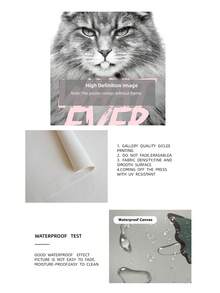 1/3件套无框富家猫咪美学墙饰套装，粉黑白时尚墙面装饰，别致办公室及少女房间装饰画，适用于卧室、宿舍、公寓 | 卧室装饰画，卧室装饰，墙面装饰画，复古装饰 - 彩色 - 查看 9