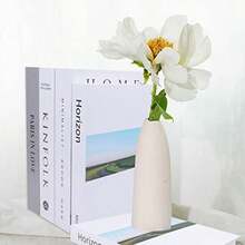 4 Libros Decorativos de Moda, Libros Decorativos para Decoración del Hogar, Moderno y Decorativolibro Falso Creativo, Libro Falso para El Hogar,Libros Decorativos de Imitación(default) - Multicolor - Ver 6