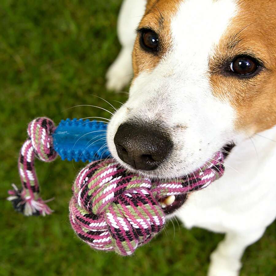 1pc Rope Ball & Rubber Rod Combination Pet Dental Chew Toy, Suitable For Daily Use By Dogs - Random Color - View 1