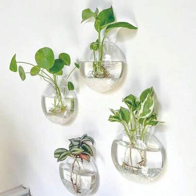 1/2/4 piezas Terrario de vidrio montado en la pared, maceta de autorriego, jarrón transparente de cristal redondo hecho a mano, adecuado para decoración del hogar y la oficina, maceta colgante minimalista moderna, se puede usar para arte de pared y exhibición de plantas de interior