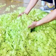 200pcs 3cm Glow In The Dark Star Wall Stickers, 3D Luminous, Solid Color And Mixed Color - Nhiều màu - Xem 8