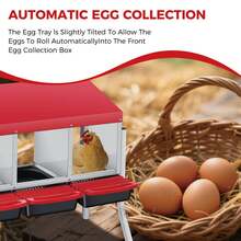Techigher Chicken Nesting Boxes, 3/4 Hole Metal Chicken Egg Laying Box With Pull-Out Trays And Rollout Egg Collection For ChickenCoop - Red With Metal Legs, 4 Holes - View 5