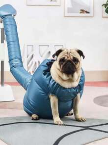 可折叠宠物烘干袋，适用于猫狗，便携式美容袍，防水牛津布，防啃咬，银膜，轻便速干，家用吹风机，适用于大型犬，快速干燥吹风机，大型犬宠物用品，蓝色节日礼物 - 彩色 - 查看 11