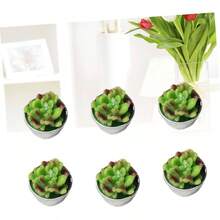 6 Piezas velas suculentas vela cumpleaos vela de cumpleaos scented candles velas candelita plantas suculentas artificiales vela aromtica hechas a mano plantar - como se muestra - Ver 5