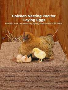 Coconut Fiber Pad For | Easy To Clean Poultry & Pet Nest, Ideal Filler For Chicken Nesting Box