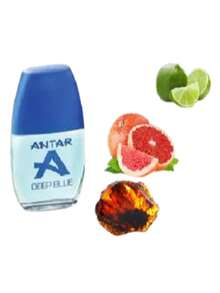 Perfume Para Hombre Antar Deep Blue - Colonia Con Atomizador Para Hombre – Fuller - Fragancia Fresca - De La Familia Olfativa Cítrica Maderosa – Con Notas De Cítricos: Toronja Y Limón – 60 ml - citrico - Ver 4