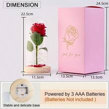 zxr Cúpula de Cristal con Rosa encantada para Siempre diseño de  Rosa Flower con Luces LED Regalos Románticos para Navidad Novia San Valentín Mujeres Día de La Madre Rojo-002125 - Transmisión002 - Ver 4