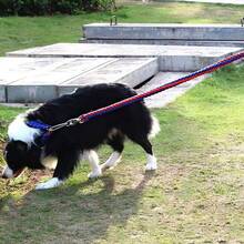 1 pieza Correa para perro tejida gruesa, adecuada para perros medianos y grandes - Diseño reforzado, sistema negro duradero sin herrajes, de larga duración, ideal para Golden Retrievers, Pastores Alemanes, Labradores y talla grande - Perfecto para entrenamiento y paseos - Multicolor - Ver 5