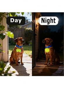 10个卡通狗爪反光钥匙扣套装，夜间高可见度，适用于狗绳、背包或钥匙装饰，时尚实用，可用作钥匙扣、背包、宠物项圈、夜间骑行配件