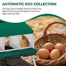 Techigher Chicken Nesting Boxes, 3/4 Hole Metal Chicken Egg Laying Box With Pull-Out Trays And Rollout Egg Collection For ChickenCoop - Green With Metal Legs, 4 Holes - View 5