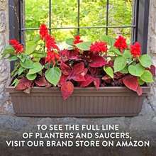 Flower Pots & Planters - Multicolor - View 8