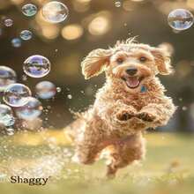 Hypoallergenic Biodegradable Premium Dog Shampoo and Conditioner for Bathing - ‎Blanco - Ver 5