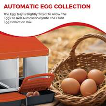 Techigher Chicken Nesting Boxes, 3/4 Hole Metal Chicken Egg Laying Box With Pull-Out Trays And Rollout Egg Collection For ChickenCoop - Orange, 3 Hole - View 6