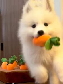 Carrot Shaped Dog Toy, Durable Chew Toy, Promotes Natural Foraging Skills And Mental Stimulation, Suitable For All Dog Breeds