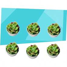 6 Piezas velas suculentas vela cumpleaos vela de cumpleaos scented candles velas candelita plantas suculentas artificiales vela aromtica hechas a mano plantar - como se muestra - Ver 4