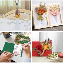 Dried Flower Bouquet - 彩色 - 查看 6