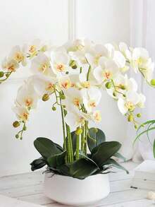 10pcs 70cm Artificial Orchid Stems, 9pcs Realistic Texture Phalaenopsis Orchid Flower Heads, Classic Style Artificial Orchid Bouquet, Decorative Silk Orchid Flowers, Suitable For Living Room Home Decor, Hotel Wedding Floral Arrangement, Chinese New Year, Valentine's Day And Mother's Day Gift For Girlfriend And Mother, Birthday And Graduation Gift - White - View 7
