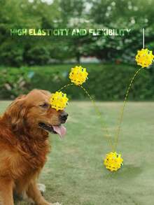 弹性狗狗球互动咀嚼玩具，清洁牙齿，训练玩耍两用，适合中大型犬和幼犬 - 彩色 - 查看 4