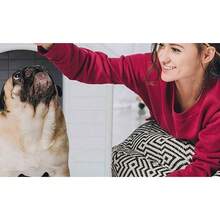 Plastic Dog House - Waterproof Dog Kennel With Air Vents And Elevated Floor All Weather Indoor Outdoor Insulated Doghouse Puppy Shelter, Easy To Assemble - 綠色34寸 - 查看 3