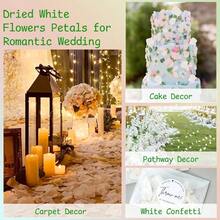 zxr 1500 pétalos de flores de hortensias blancas de marfil secas reales pétalos naturales para bodas fiestas confeti noche romántica decoración de propuestas manualidades 12 onzas125 - blanco - Ver 6
