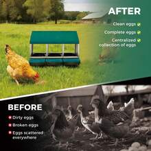 Techigher Chicken Nesting Boxes, 3/4 Hole Metal Chicken Egg Laying Box With Pull-Out Trays And Rollout Egg Collection For ChickenCoop - Green 3 Hole - View 4