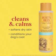 Natural Itch Soothing Shampoo for Pets with Honeysuckle | Anti-Itch Formula, Cruelty Free, Sulfate & Paraben Free, pH Balanced - Made in The USA - como en la foto - Ver 7