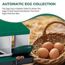 Techigher Chicken Nesting Boxes, 3/4 Hole Metal Chicken Egg Laying Box With Pull-Out Trays And Rollout Egg Collection For ChickenCoop - Green 3 Hole - View 5