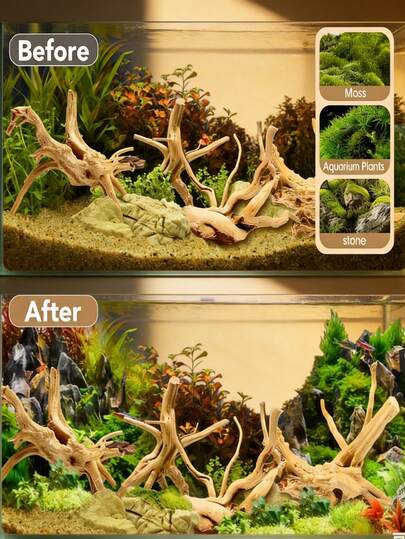 4pcs Natural Rhododendron Driftwood, Decorative And Functional, Suitable For Reptile And Aquarium Pets Enclosure, Random Shapes, Ideal Choice For Aquascaping Enthusiasts And Pet Owners