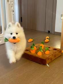 Carrot Shaped Dog Toy, Durable Chew Toy, Promotes Natural Foraging Skills And Mental Stimulation, Suitable For All Dog Breeds