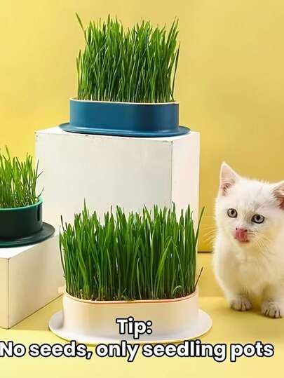 Cat Grass Planting Box, Hydroponic Planting Box, Garden Seed Germination Tray, Seed Germination Tray Set, Plastic Pet Bowl, Pet Friendly Flowerpot, Suitable For Cat Grass, Wheat, Pea, Peanut Sprouts, Balcony, Office, Home Planting, Pet Supplies, Valentine's Day, Mother's Day Gifts, Good Choice