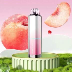 Electric Inhaler Stick-Portable Essential OilAromatherapy Vaporizer For Sinus Relief CongestionEnergy Boost Non-Medicated Cool Refreshing PackMixed Fruit Flavors Natural Menthol Peppermint CamphorRelax Healthcare