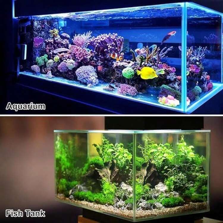 Aquarium Décor - / - View 5