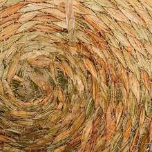 Canasta de gatos |   tejido con cojín suave y almohada suave, cama cómoda todas las estaciones |   Muebles de descanso y rascado para gatito, cachorro, perro, sala de estar, dormitorio, apartamento - 1 - Ver 7