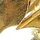 金色