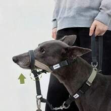 高品质狗嘴套（颜色随机）/ 单个嘴套 / 套装：经典款嘴套、项圈 - 彩色 - 查看 6