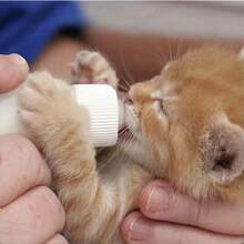 50ml Universal Pet Feeding Bottle, Silicone Nursing Bottle For Puppy Kitten, Anti-Choke Milk Bottle With Measurement Scale, Pet Supplies Gift For Valentine's Day - 50ml - Xem 9