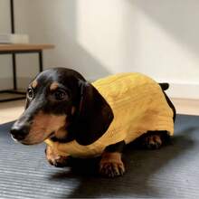 1件腊肠犬毛衣，长款狗狗毛衣，宠物服装，纯色英伦风宠物毛衣，加长款宠物毛衣，简约设计，情侣/闺蜜款，适合贵宾犬、巴塞特猎犬、腊肠犬、比格犬、柯基犬、长毛犬、猫咪 - 橘色 - 查看 17