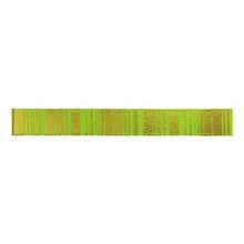 Tape - Multicolor - View 2