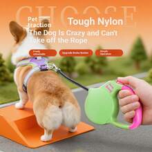 قيادة كلب قابلة للسحب، قيادة سير كلب تمتد تلقائيًا لكلاب صغيرة/متوسطة الحجم، حزام صدر للكورجي والشيبا إينو، مضاد للسحب - أخضر - مشاهدة 10