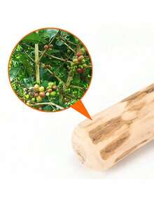 天然木制狗狗磨牙棒玩具，真木骨头棒，清洁牙齿和缓解压力的磨牙玩具，宠物健康 - 彩色 - 查看 5