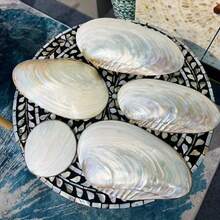 1pc Jumbo Mother-Of-Pearl Shell Tray, Luxury Handcrafted Centerpiece Bowl, Display Stand For Jewelry & Home Decor, Premium Wedding & Party Accent, Beautiful Gift For All Occasions - Pearlescent White - View 3